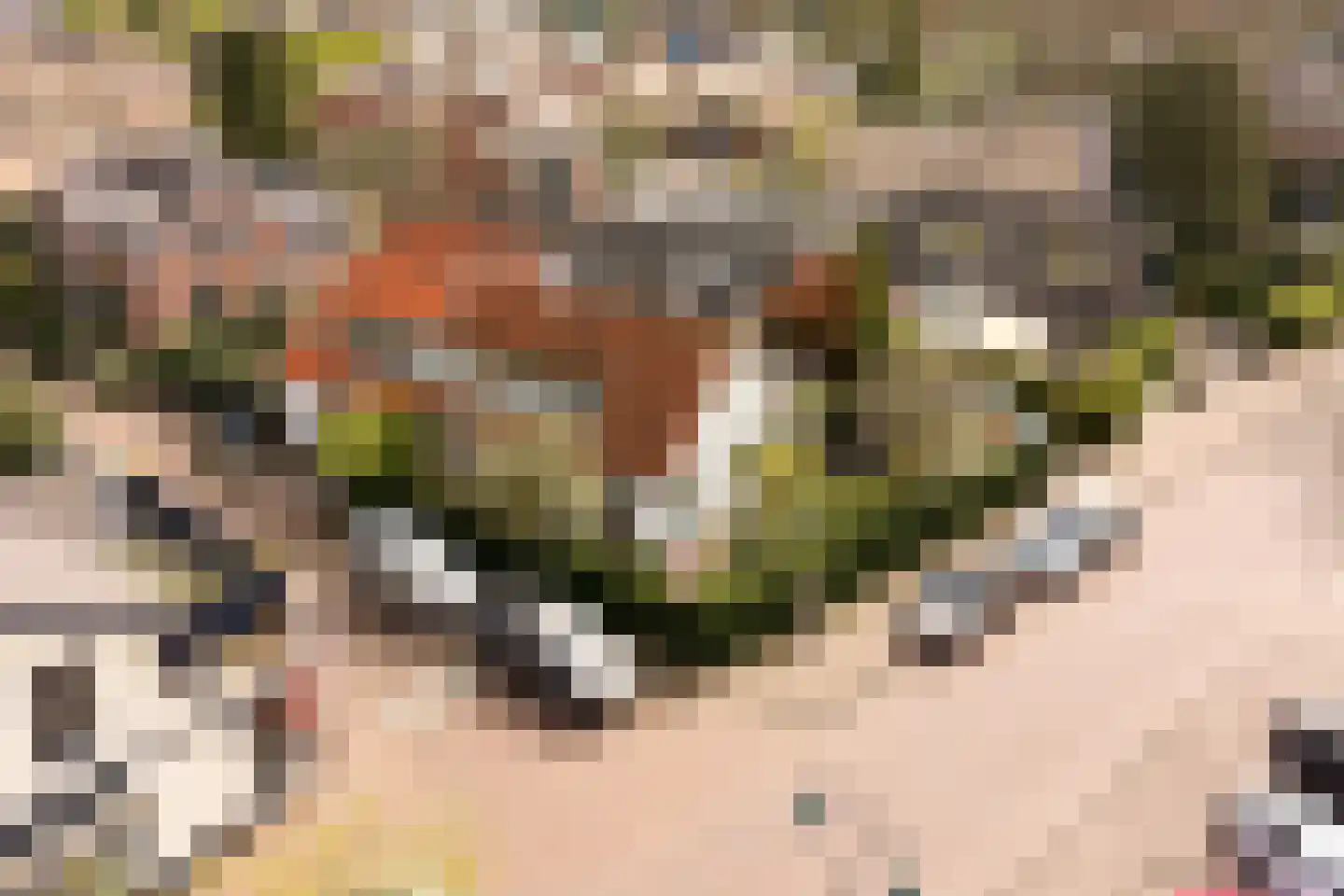 De Pijl 2 Laren thumbnail 32