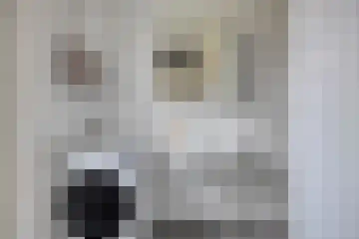 De Pinas 11 a Dinteloord thumbnail 11