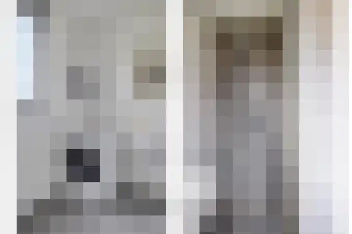 De Pinas 11 a Dinteloord thumbnail 12