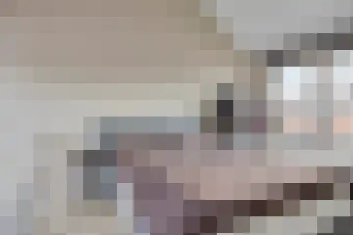 De Pinas 11 a Dinteloord thumbnail 15