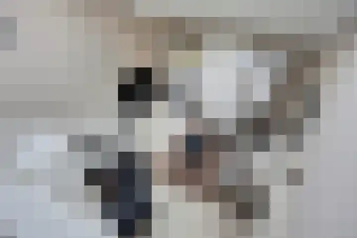 De Pinas 11 a Dinteloord thumbnail 20