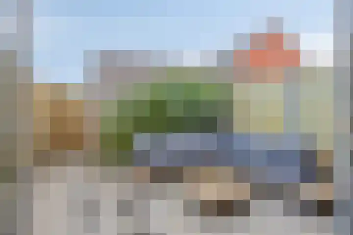 De Pinas 11 a Dinteloord thumbnail 21