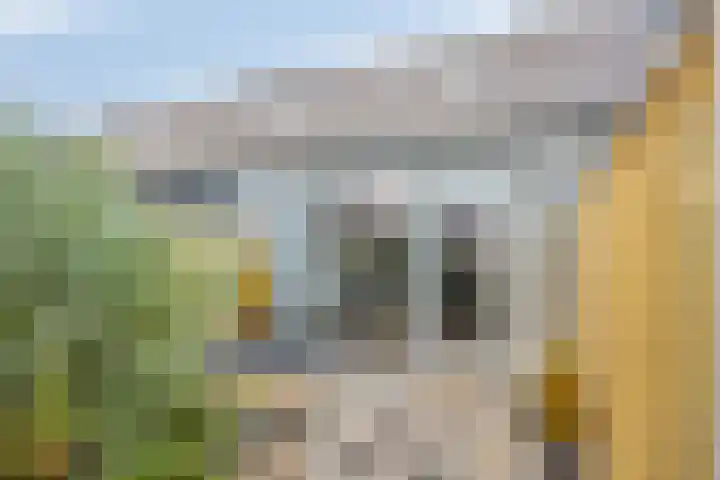 De Pinas 11 a Dinteloord thumbnail 23