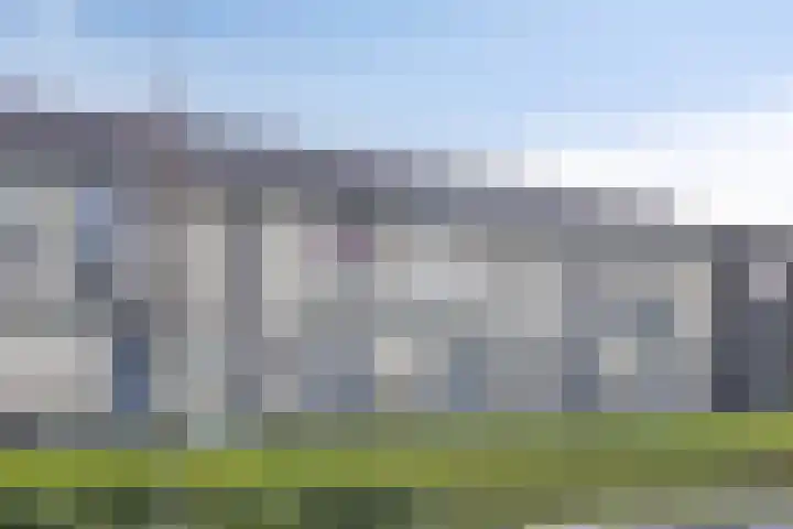 De Pinas 11 a Dinteloord thumbnail 24