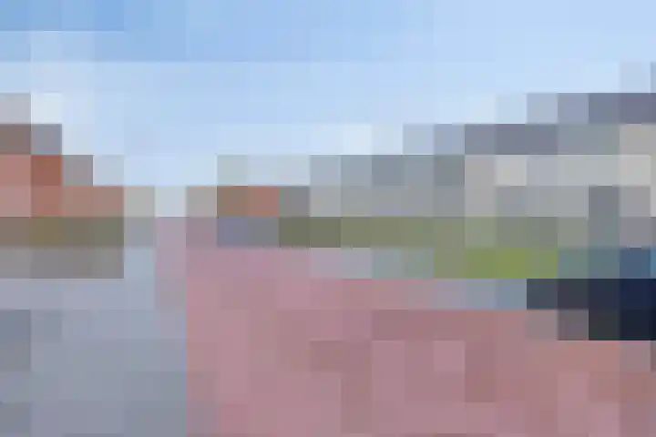 De Pinas 11 a Dinteloord thumbnail 26