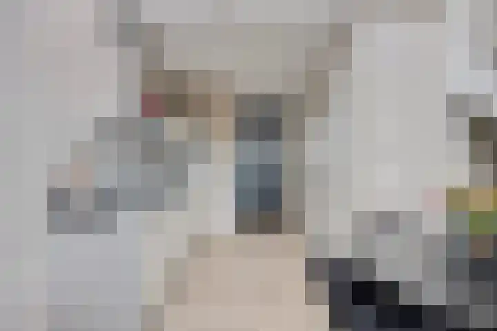 De Pinas 11 a Dinteloord thumbnail 6