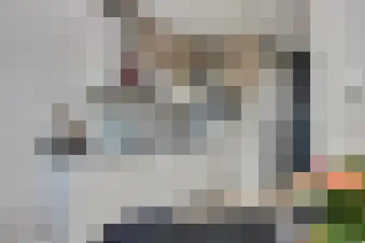 De Pinas 11 a Dinteloord thumbnail 7