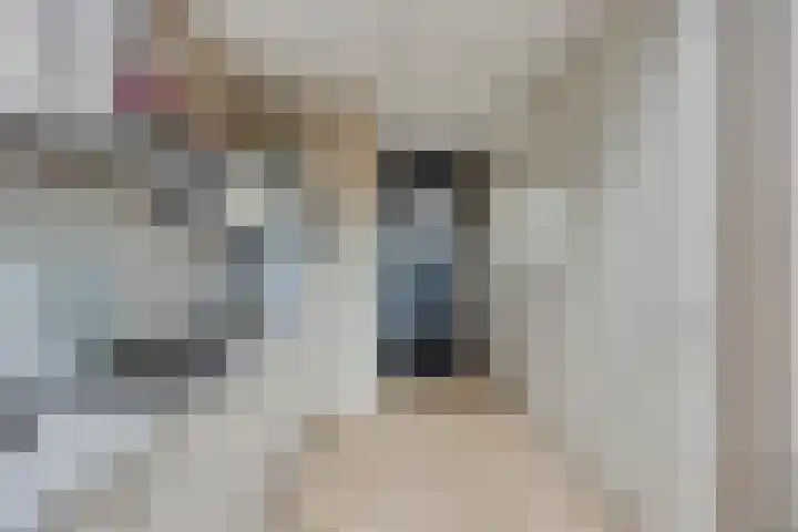 De Pinas 11 a Dinteloord thumbnail 8