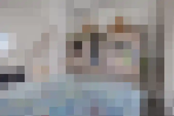 De Pinas 7 Dinteloord thumbnail 13