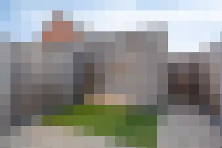 De Pinas 7 Dinteloord thumbnail 14