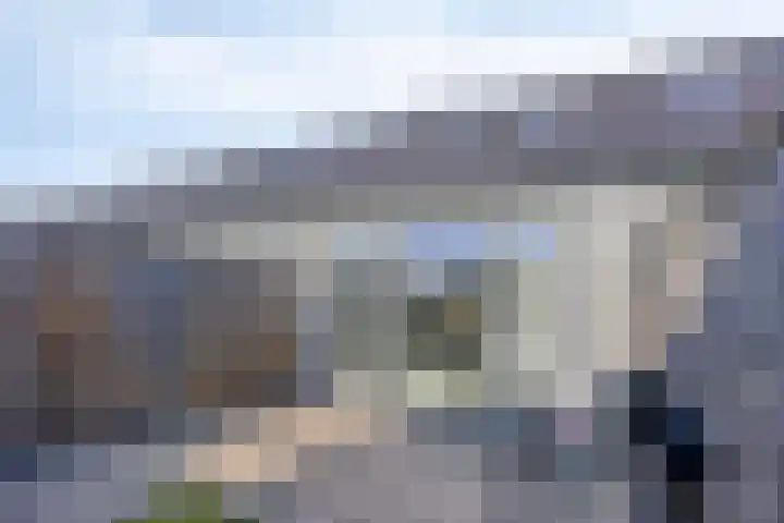 De Pinas 7 Dinteloord thumbnail 15