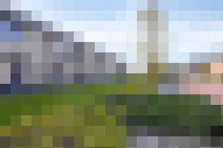 De Pinas 7 Dinteloord thumbnail 16