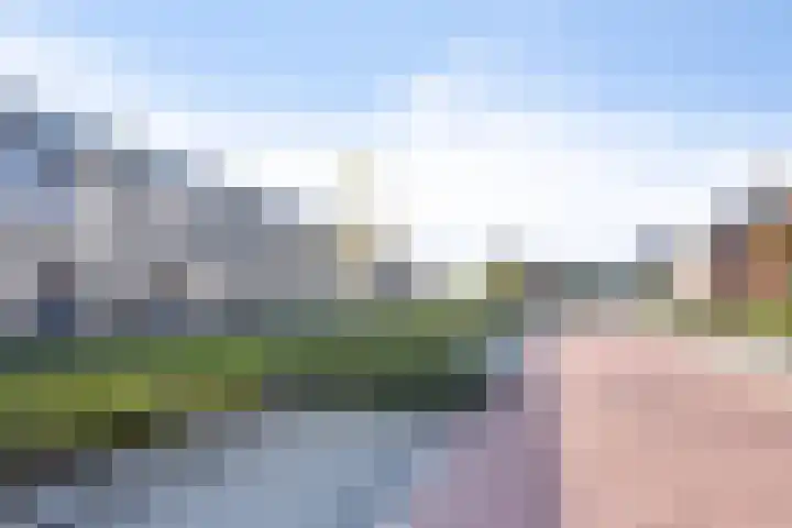 De Pinas 7 Dinteloord thumbnail 17