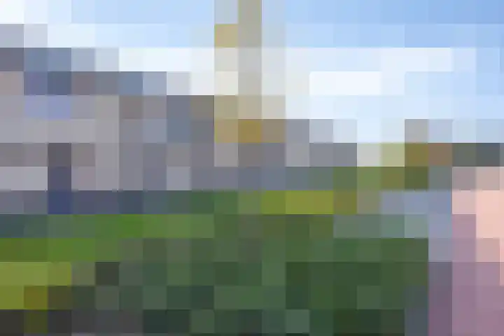 De Pinas 7 Dinteloord thumbnail 18