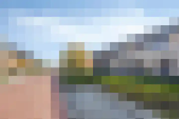 De Pinas 7 Dinteloord thumbnail 19
