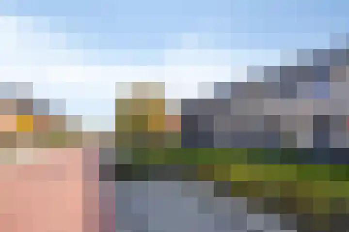 De Pinas 7 Dinteloord thumbnail 20
