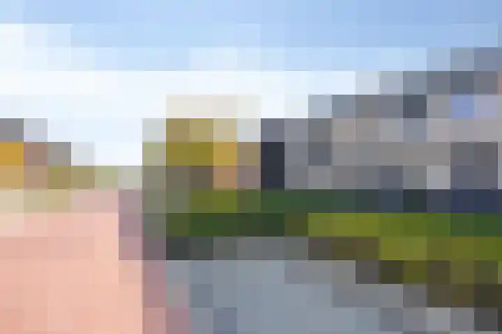 De Pinas 7 Dinteloord thumbnail 21
