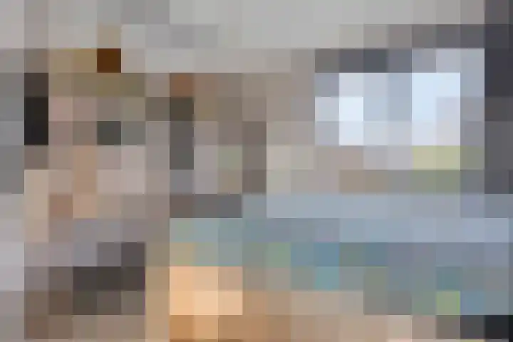 De Pinas 7 Dinteloord thumbnail 5