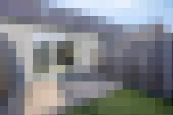 De Pinas 7 Dinteloord thumbnail 6