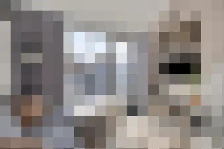 De Pinas 7 Dinteloord thumbnail 9