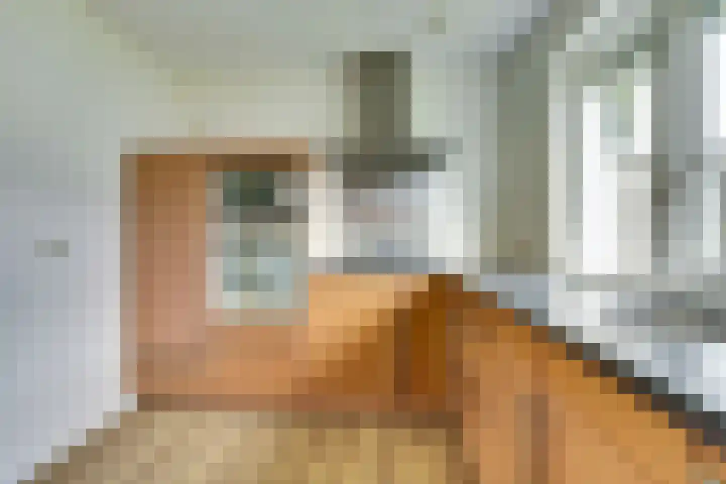 De Pinckart 27 Nuenen thumbnail 11