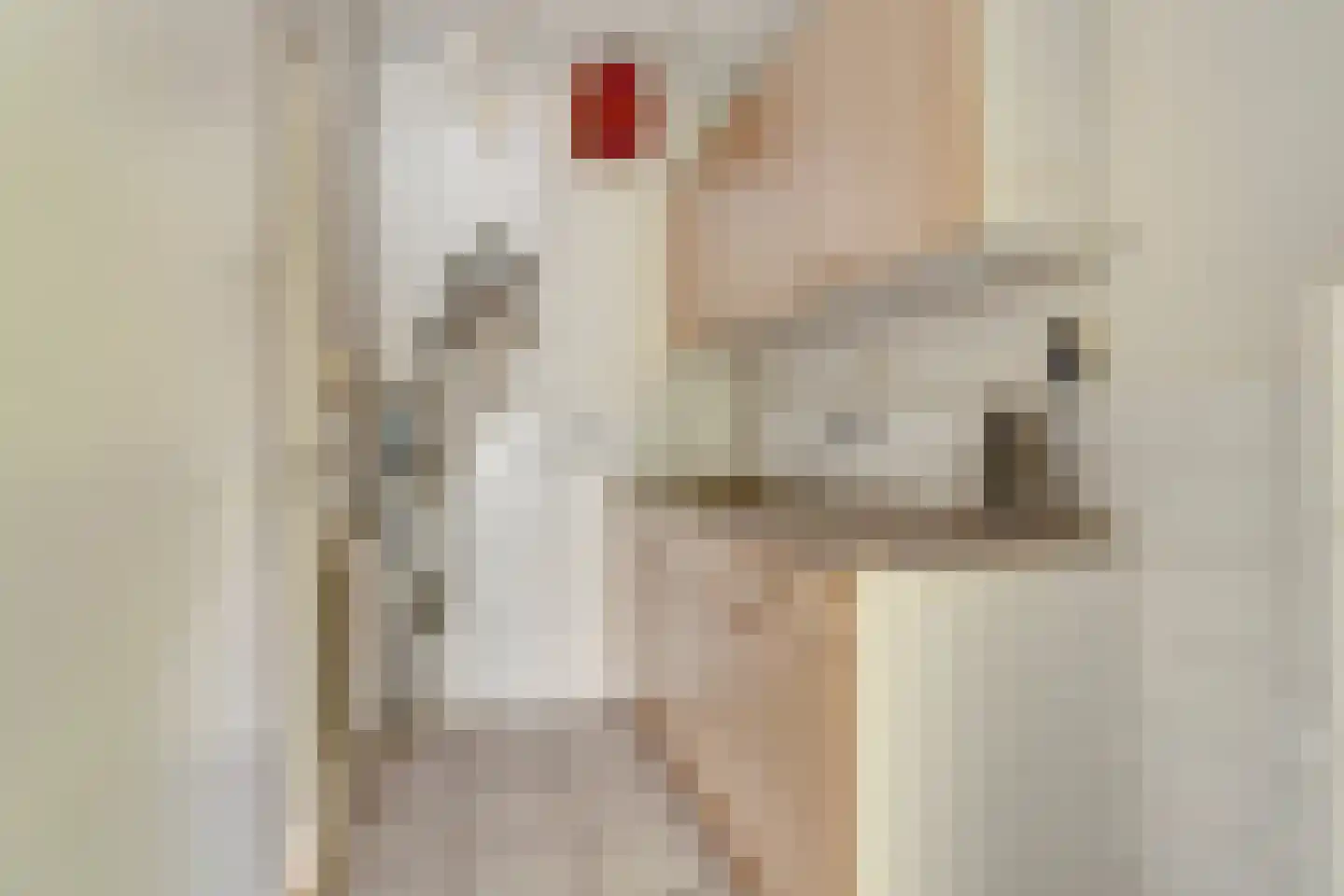 De Pinckart 27 Nuenen thumbnail 27