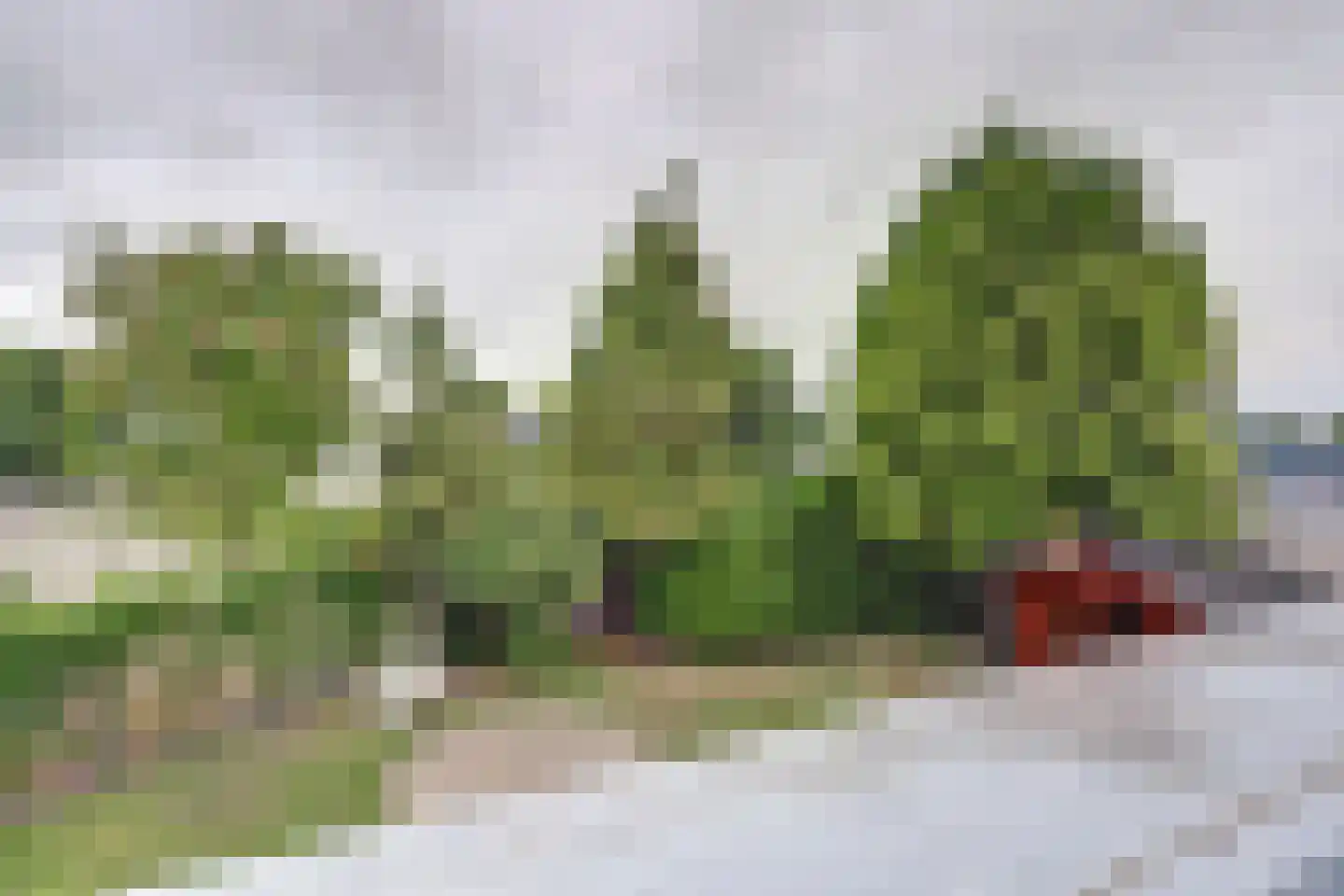 De Pinckart 27 Nuenen thumbnail 44