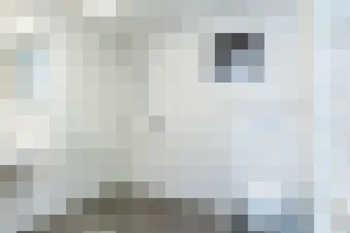 De Ping 25 Nuth thumbnail 19