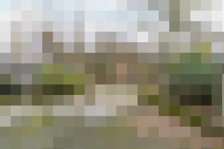 De Ping 25 Nuth thumbnail 31