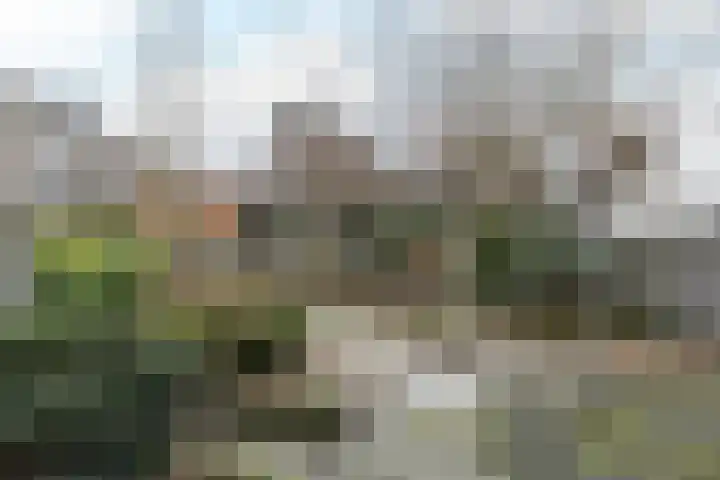 De Ping 25 Nuth thumbnail 32