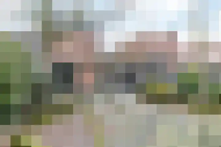 De Ping 25 Nuth thumbnail 34