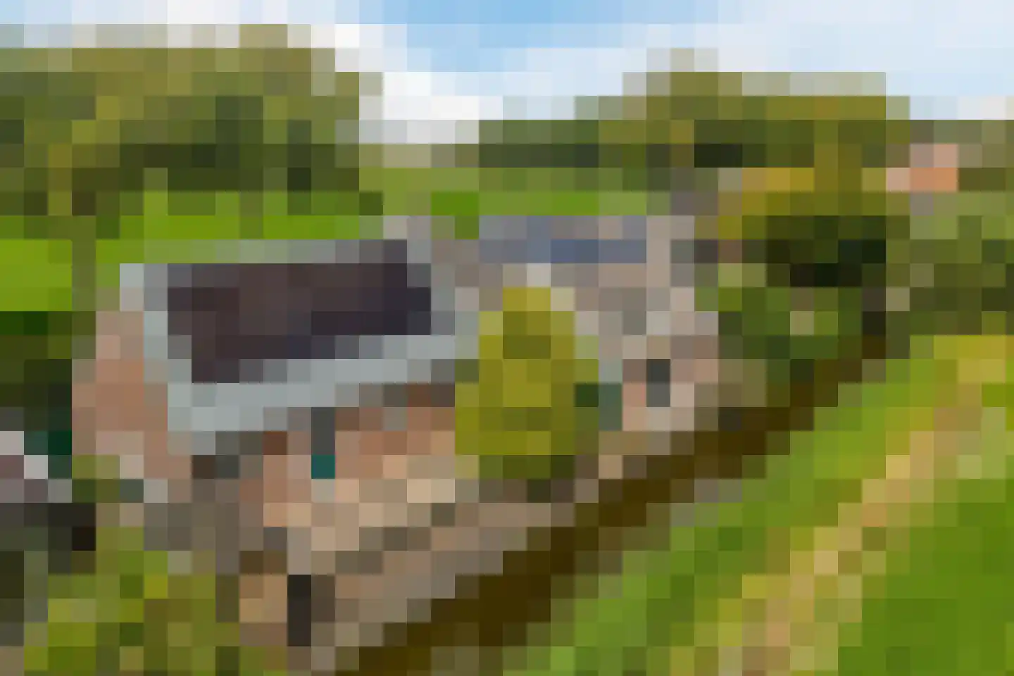 De Ping 25 Nuth thumbnail 44