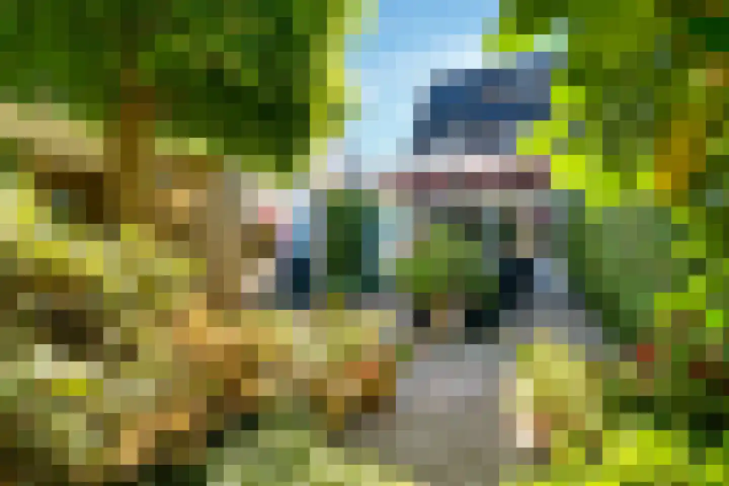 De Pinguin 13 Almelo thumbnail 24