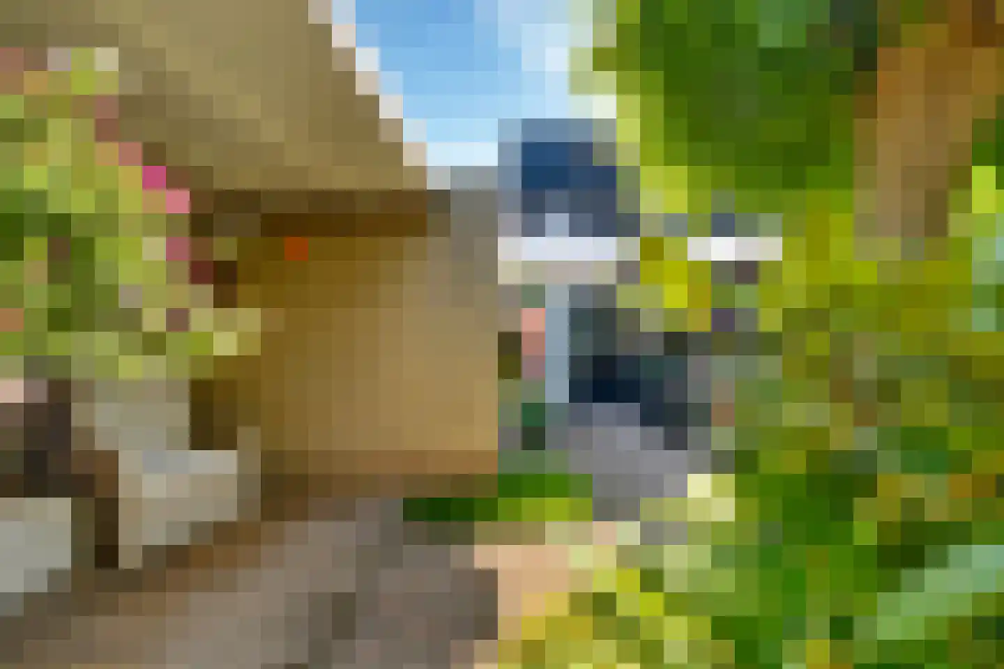 De Pinguin 13 Almelo thumbnail 25