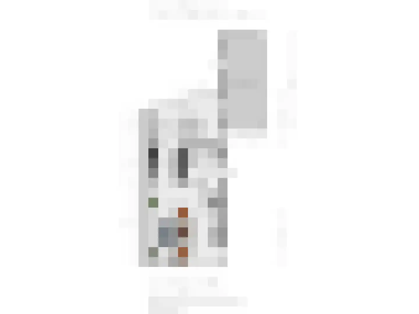 De Pinguin 13 Almelo thumbnail 27
