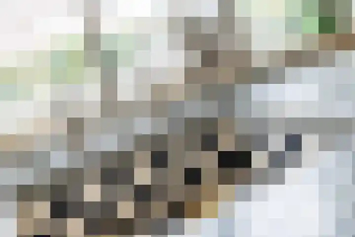 De Pinguin 36 Almelo thumbnail 23