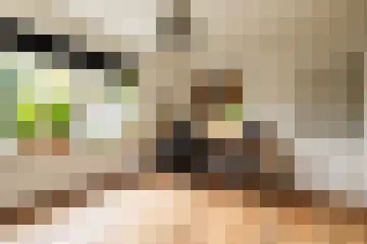 De Pinguin 36 Almelo thumbnail 27