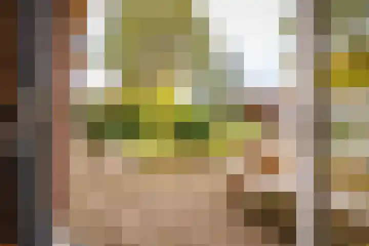 De Pinguin 36 Almelo thumbnail 33