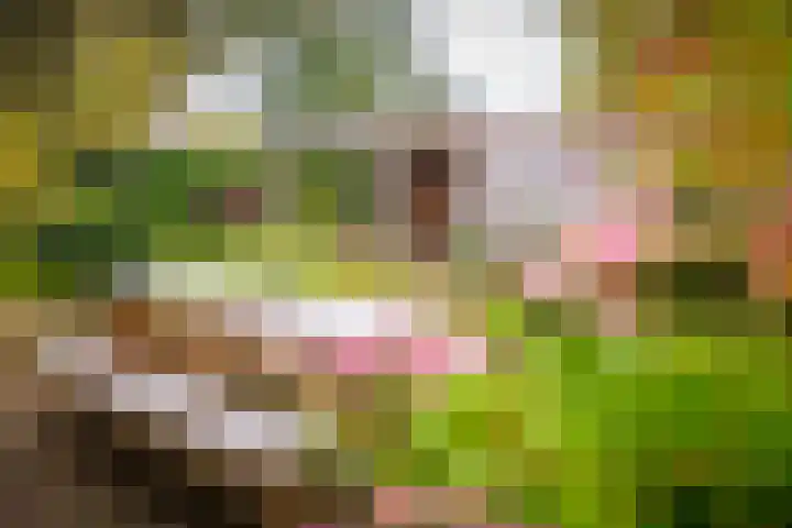 De Pinguin 36 Almelo thumbnail 34