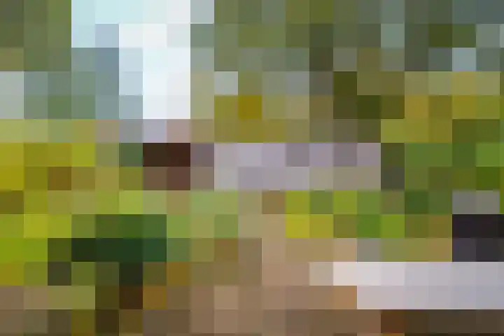 De Pinguin 36 Almelo thumbnail 35