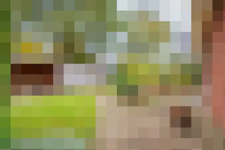De Pinguin 36 Almelo thumbnail 36