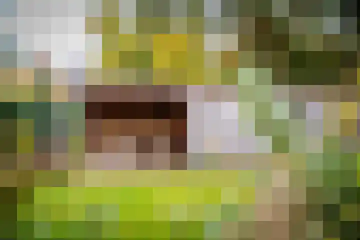 De Pinguin 36 Almelo thumbnail 37