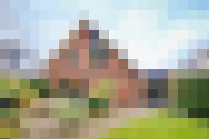 De Pinguin 36 Almelo thumbnail 40