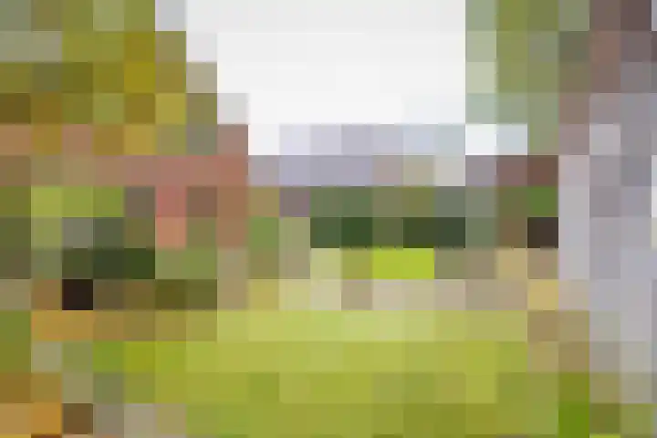 De Pinguin 36 Almelo thumbnail 41