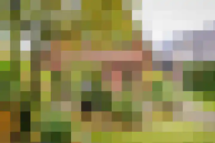 De Pinguin 36 Almelo thumbnail 42