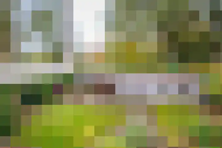 De Pinguin 36 Almelo thumbnail 57