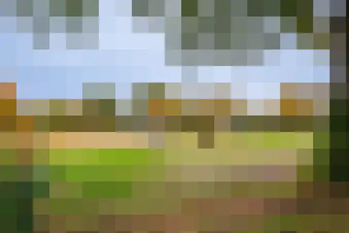 De Pinguin 36 Almelo thumbnail 60