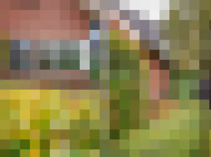 De Pinguin 36 Almelo thumbnail 7