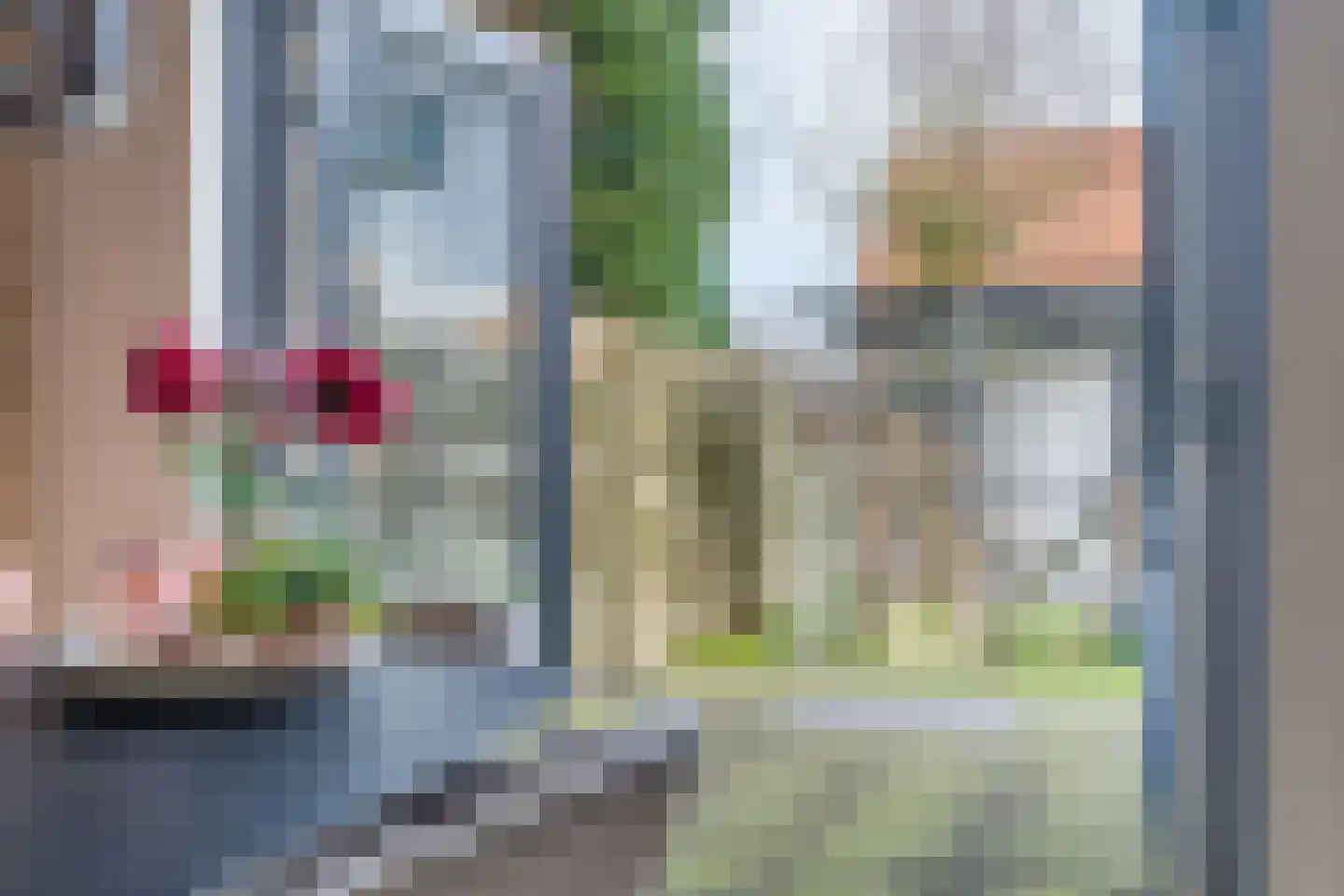 De Pinksterblom 6 De Westereen thumbnail 15