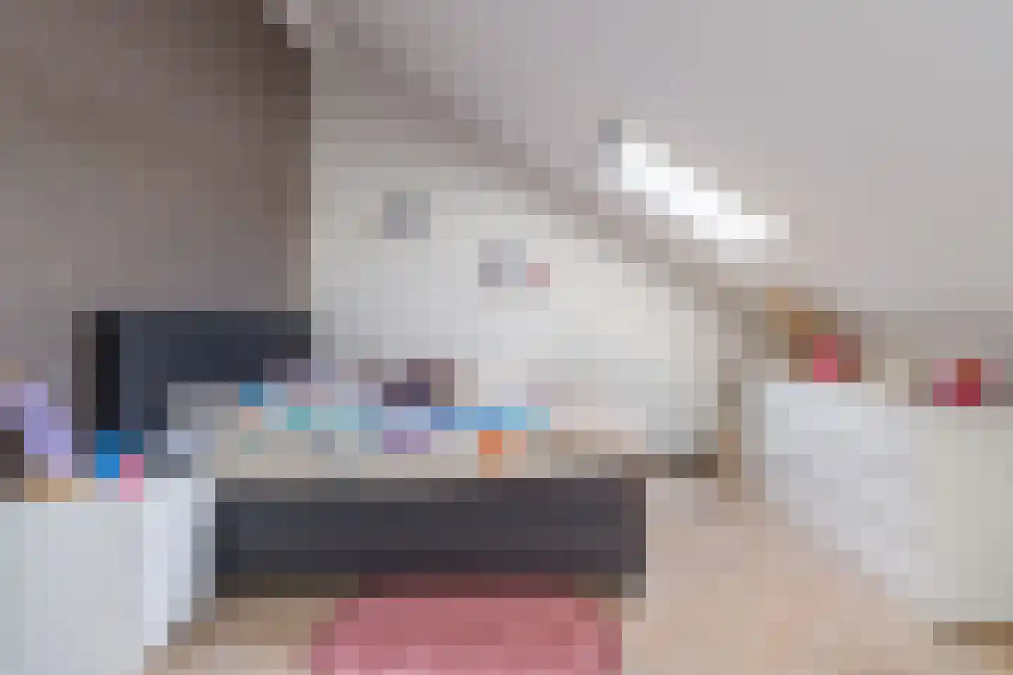 De Pinksterblom 6 De Westereen thumbnail 35